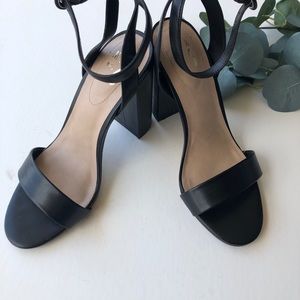 Mix No. 6 Camian Ankle Strap Block Heel